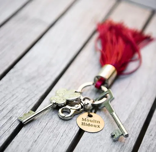 Hotel Du Moulin Hideux Bouillon